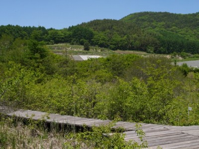 唐花見湿原の写真8