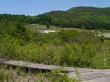 唐花見湿原の写真のサムネイル写真8