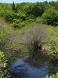 唐花見湿原の写真のサムネイル写真14