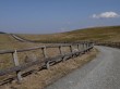 美ヶ原牧場の写真のサムネイル写真16