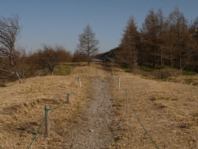 信濃路自然歩道の写真6