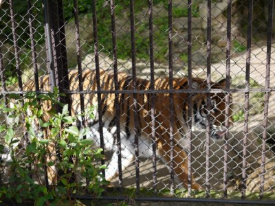 須坂市動物園の写真15