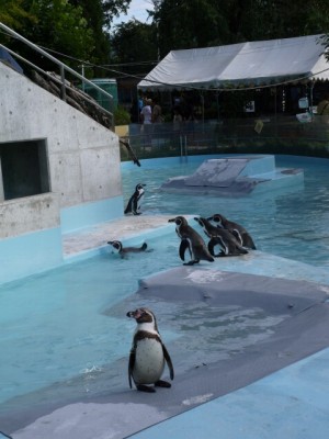 須坂市動物園の写真3