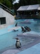 須坂市動物園の写真のサムネイル写真3