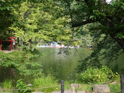臥竜公園の写真8