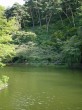 臥竜公園の写真のサムネイル写真4