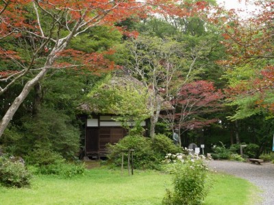 俳諧寺（一茶佛堂）の写真6