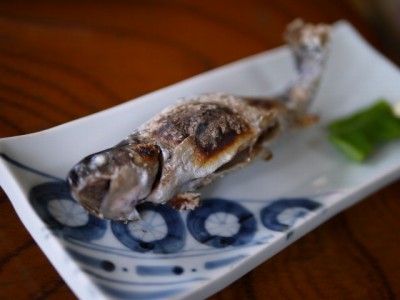 北川遊魚の写真