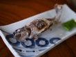 北川遊魚の写真のサムネイル写真1