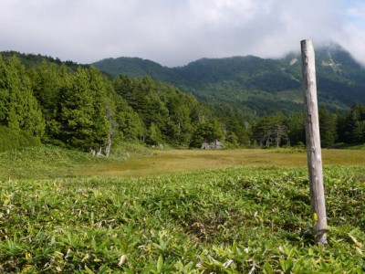 前山湿原の写真12