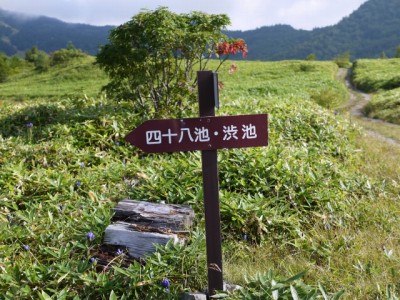 前山湿原の写真15