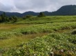 前山湿原の写真のサムネイル写真13