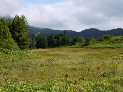 前山湿原の写真7