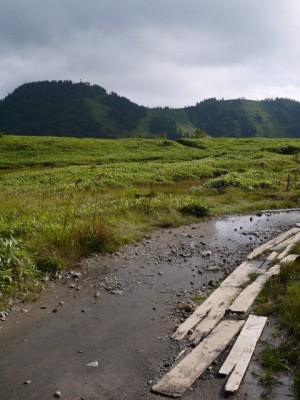 前山湿原の写真3