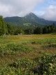 前山湿原の写真のサムネイル写真14