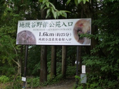 地獄谷野猿公苑の写真