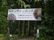 地獄谷野猿公苑の写真のサムネイル写真1