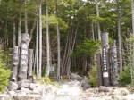 白駒の池の写真のサムネイル写真2