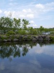 八千穂レイク（釣りっ子ランド）の写真のサムネイル写真16