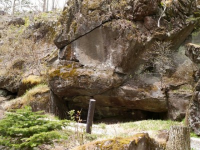 八千穂高原自然園の写真34