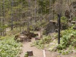 八千穂高原自然園の写真のサムネイル写真35