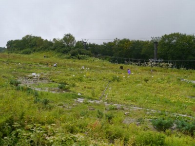 白馬五竜高山植物園の写真2