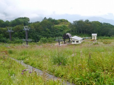 白馬五竜高山植物園の写真5