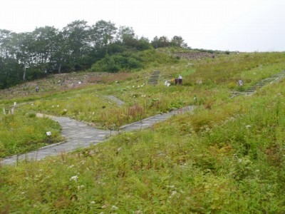 白馬五竜高山植物園の写真8