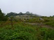 白馬五竜高山植物園の写真のサムネイル写真9