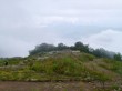 白馬五竜高山植物園の写真のサムネイル写真10