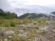 白馬五竜高山植物園の写真のサムネイル写真16