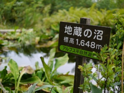 アルプス平自然遊歩道の写真8