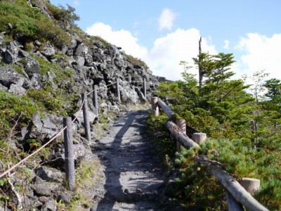 北八ヶ岳 坪庭の写真5