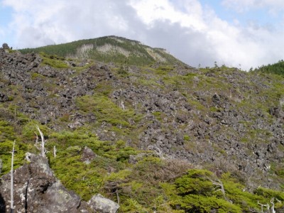 北八ヶ岳 坪庭の写真11