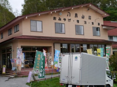 霧ヶ峯湿原植物群落の写真
