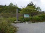 霧ヶ峯湿原植物群落の写真のサムネイル写真4