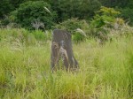 余地ダムの写真のサムネイル写真33