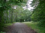 大深山遺跡の写真のサムネイル写真3