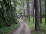 大深山遺跡の写真のサムネイル写真5