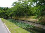 龍岡城（五稜郭）の写真のサムネイル写真19