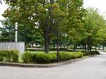 駒場公園の写真のサムネイル写真4