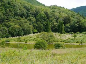 五味池破風高原自然園の写真43