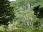 五味池破風高原自然園の写真のサムネイル写真59
