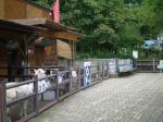 茶臼山動物園の写真のサムネイル写真31