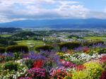 平尾山公園（パラダ）の写真のサムネイル写真15