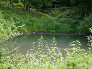 平尾山公園（パラダ）の写真36