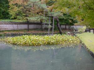 山寺常山邸の写真7