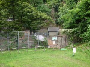 小諸市動物園の写真