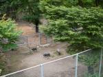 小諸市動物園の写真のサムネイル写真3