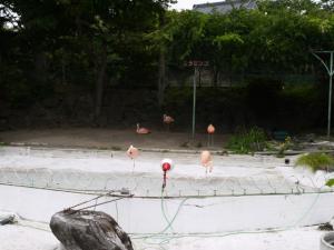 小諸市動物園の写真13